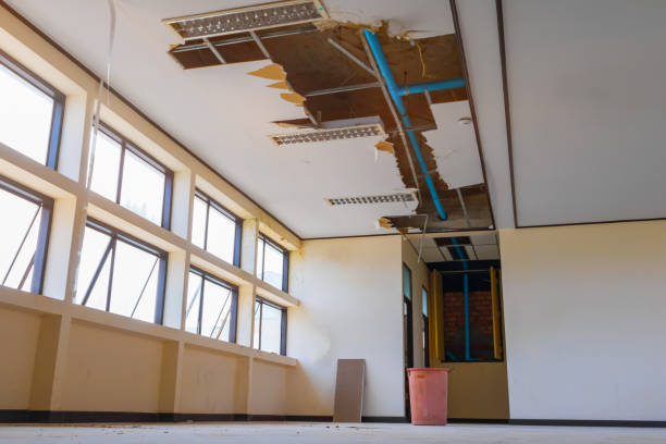 Best Carpet water damage restoration  in Monroe, WI