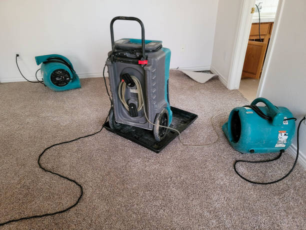 Best Water damage cleanup near me  in Monroe, WI