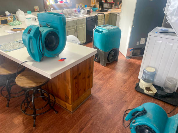 Professional Water damage restoration in Monroe, WI