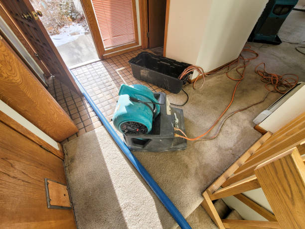 Best Mold removal after water damage  in Monroe, WI