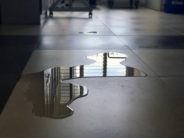 Best Water damage contractors near me  in Monroe, WI