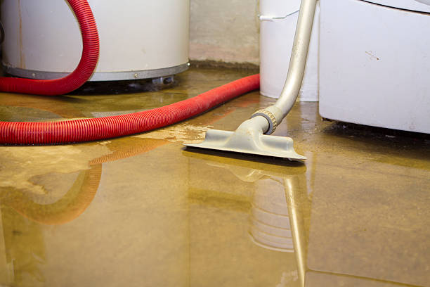 Best Basement water damage restoration  in Monroe, WI