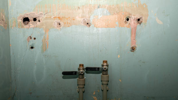 Carpet water damage restoration in Monroe, WI