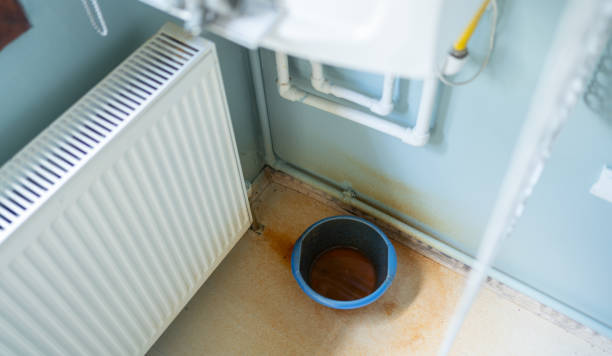 Best Water damage cleanup near me  in Monroe, WI