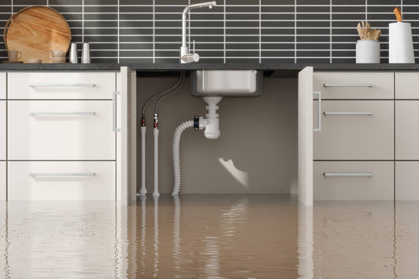 Best Basement water damage restoration  in Monroe, WI