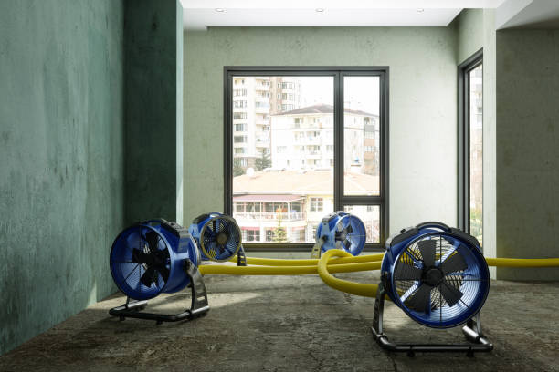 Professional Water damage restoration in Monroe, WI